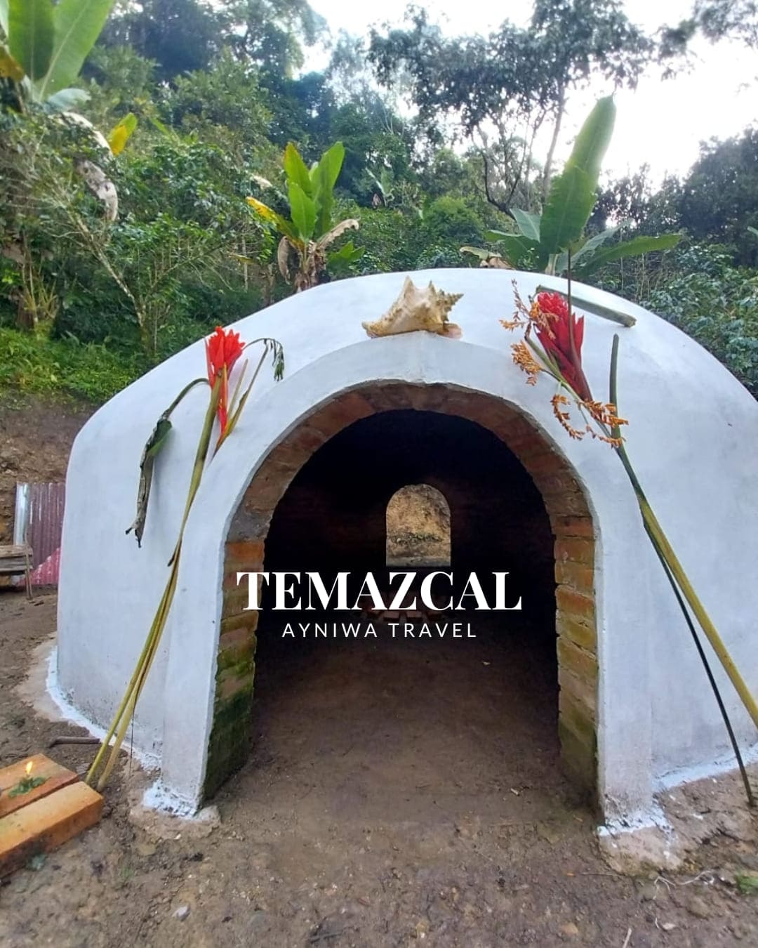 Temazcal_NOV2025-1