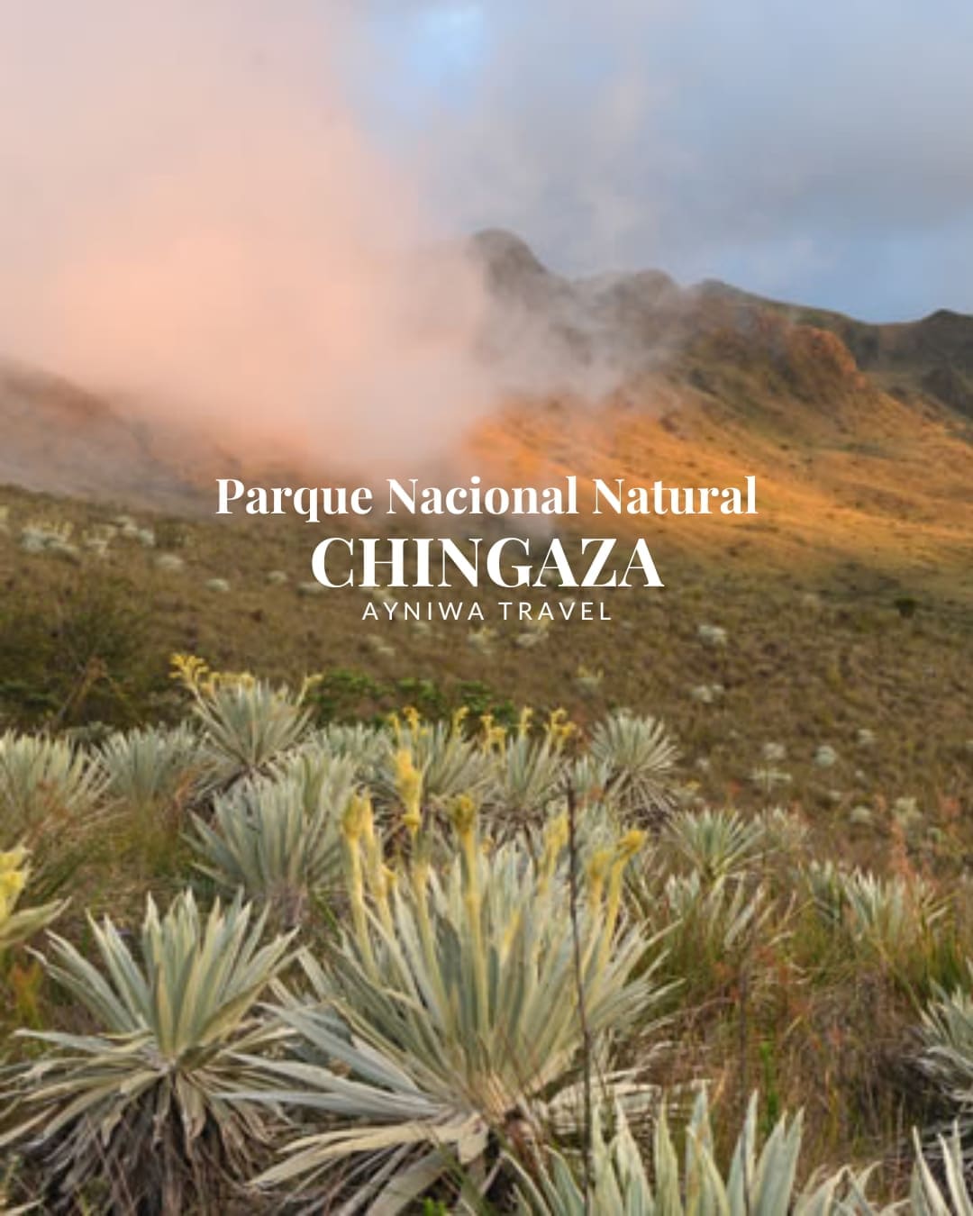 AyniwaTravel_CHINGAZA-1