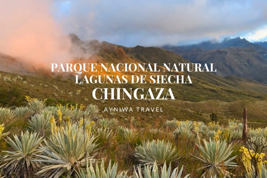 PARQUE NACIONAL NATURAL CHINGAZA SENDERO LAGUNAS DE SIECHA | Pasadía