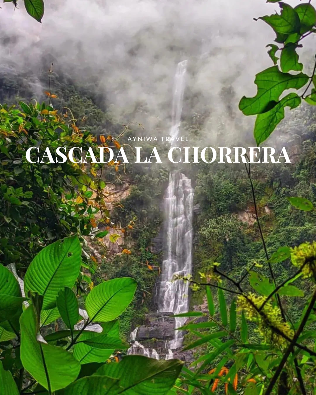 AyniwaTravel_CascadaLaChorrera-1