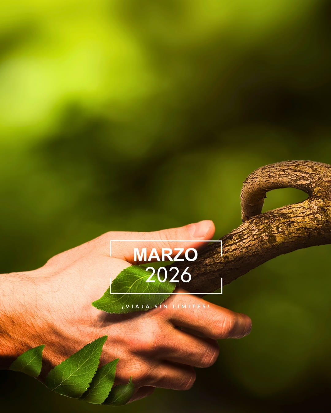 AyniwaTravelPortada_Marzo2026